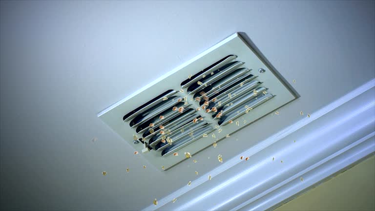 Best Local Air Duct Cleaning Services  in Satsuma, AL